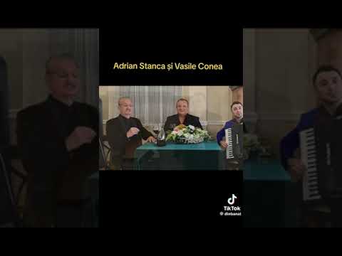 Vasile conea și Adrian Stanca 2023-2024