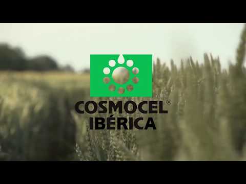 Cosmocel Ibérica - Aportando siempre la mejor solu