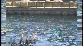 preview picture of video 'swim with dolphins 2003'