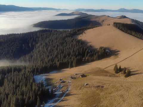 Dubharp - Morning Glory