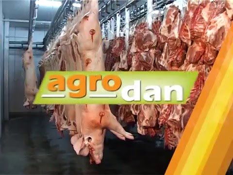 AgroDan_21.01.2016