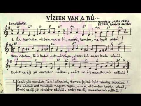 Petrik Sándor - Magócsy Lajos: Vízben van a bú