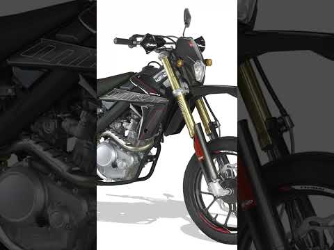 Rieju Marathon 125 SM Pro - Video 1