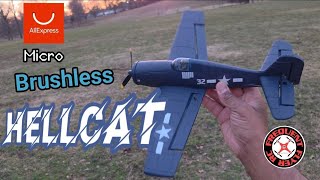FX Micro Brushless Hellcat RC Plane Maiden Flight 🔥