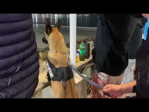 Operação da GCM acaba com baile funk em São Vicente