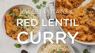 COZY & CREAMY RED LENTIL CURRY  ‣‣ Easy One Pot Vegan Recipe