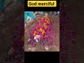 Qabar Ka Azab Shorts Islam Viralshorts God Merciful Top10 Motivat
