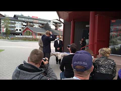 Perhokalastuksen MM 2021, henkilökohtainen - Fly fishing championship 2021, individual