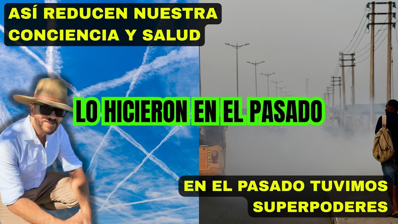 PAUL WALLIS - ¿NOS ESTÁ ENVENENANDO UN ENTORNO TÓXICO?