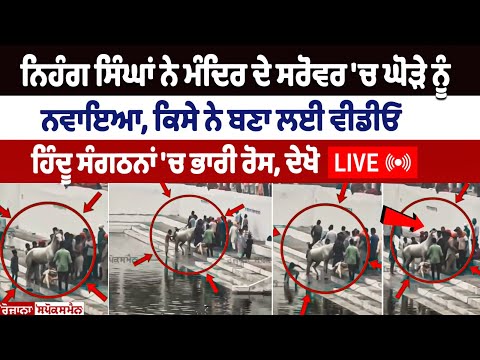 Video of Nihang Singh Bathing His Horse Inside Temple's Sarovar Went Viral on Social Media