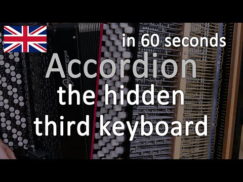 Accordion's third keyboard, free-bass explained in 60s #shorts