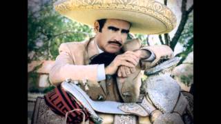 Vicente Fernandez - Borracho Sin Cantina.wmv