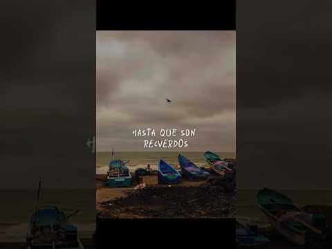 #sol #playa #arena y #mar #pedernales #manabi #ecuador #parati #foryou #foryoupage #fypシ゚viral