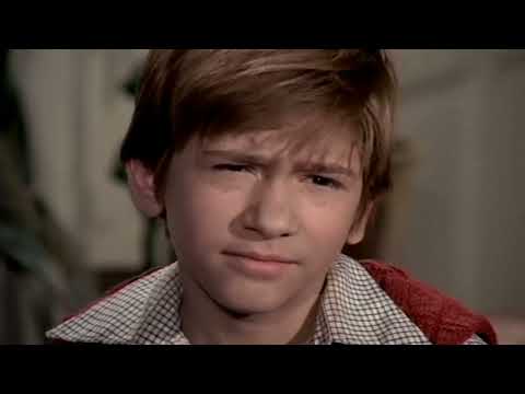 Pistruiatul Episodul 5 Geamantanul (1973)