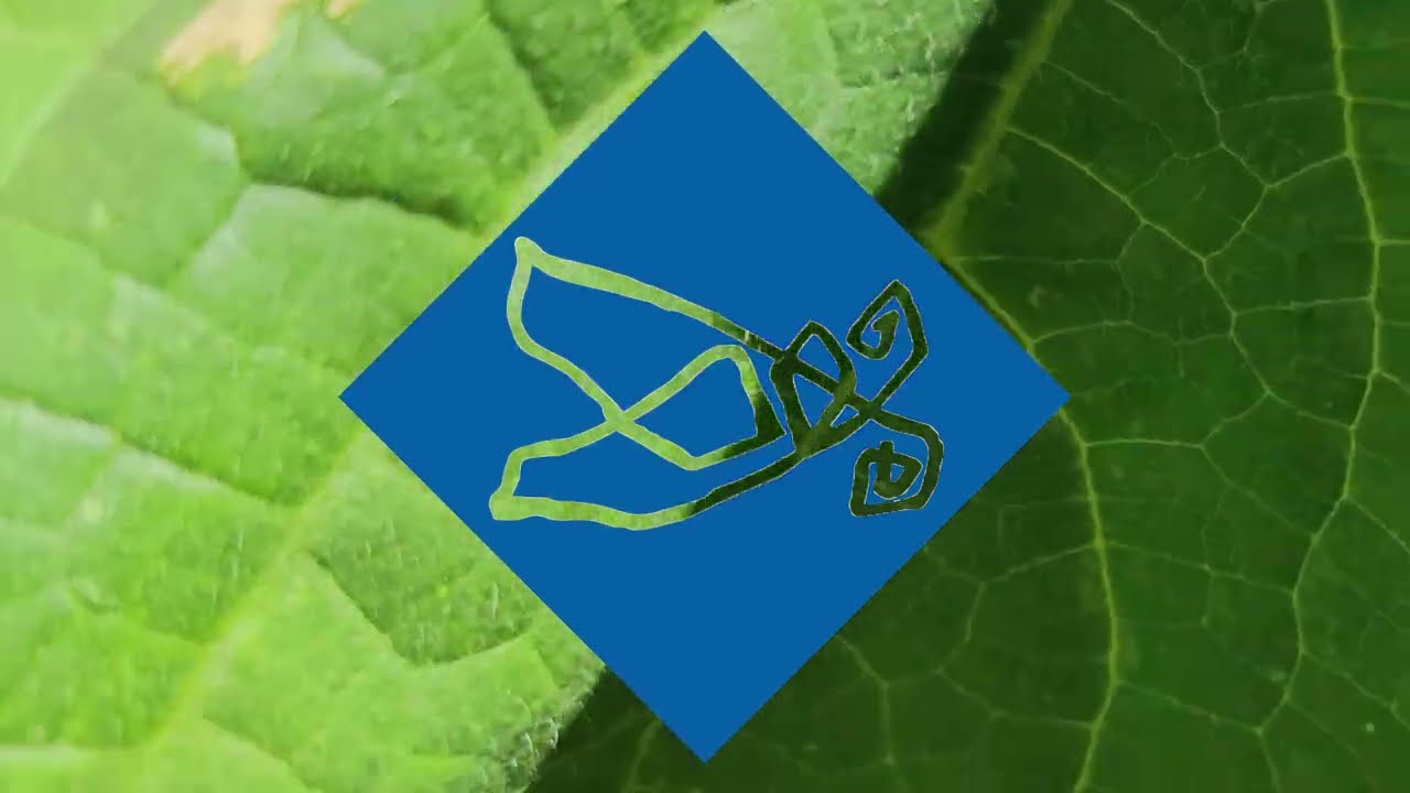 Η οικογένεια του eco school μπλε μέλισσα μεγαλώνει!