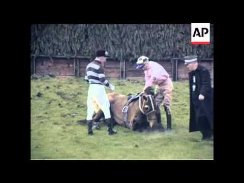 AINTREE  - GRAND NATIONAL BY NAME  - COLOUR
