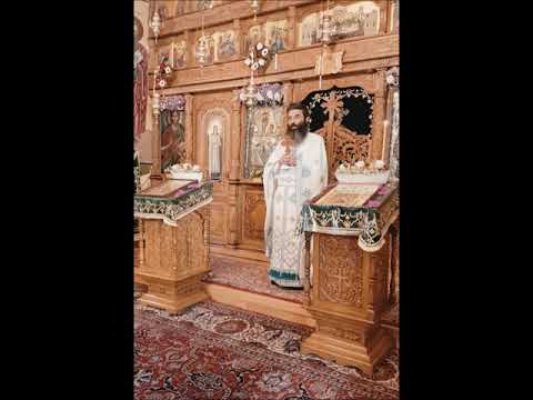 20210704 NICOLAE BALASOIU   DUMINICA A 2 A DUPA RUSALII – A SFINTILOR ROMANI