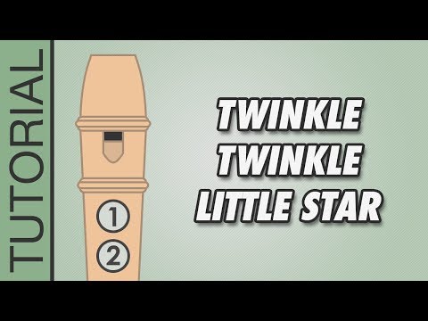 Twinkle Twinkle Little Star (D Major) - Recorder Tutorial 🎵 EASY Song
