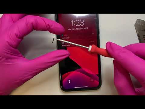 Start to Finish - iPhone 11 Screen Replacement