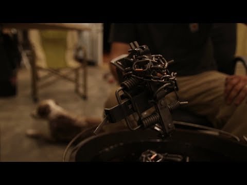 Predator Trapping Prep - The Management Advantage