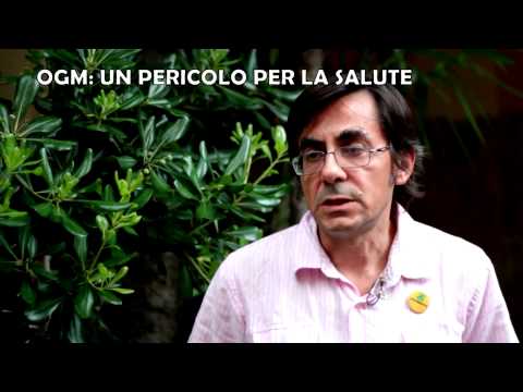 Laumento del pene Come migliorare la potenza di prescrizione