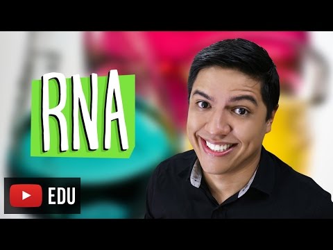 NUCLEIC ACIDS - RNA - TRANSCRIPTION - Prof. Kennedy Ramos