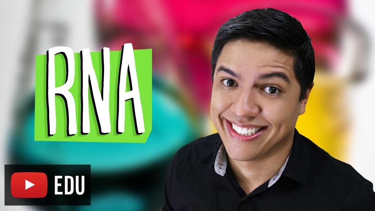 ÁCIDOS NUCLEICOS - RNA - TRANSCRIÇÃO  - Prof. Kennedy Ramos