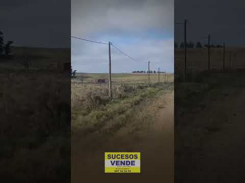 SUCESOS VENDE CHACRAS DE 3 Y 4 HAS EN EL COLORADO DE MIGUES. #negocios #inmobiliaria #chacras