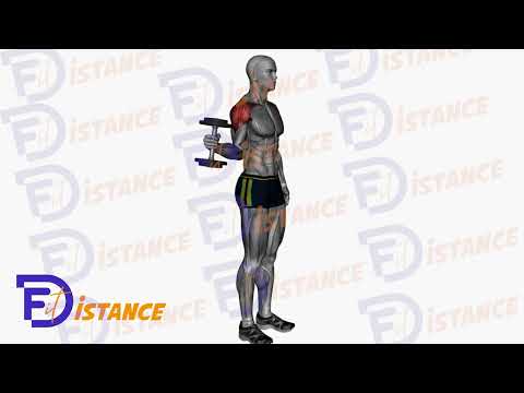 Exercice Rotation externe avec haltères