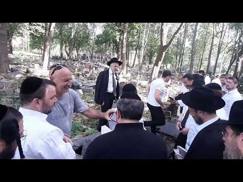 Kovno Green Hill (20220824 123340)