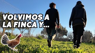 ⚠️La FINCA queda incomunicada y un NUEVO ANIMAL aparece de repente. Vlog271