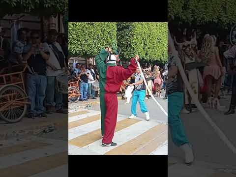 torito San Antonio familia Rocha diablo vs público chicotazos