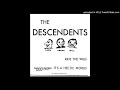 The Descendents - Ride The Wild