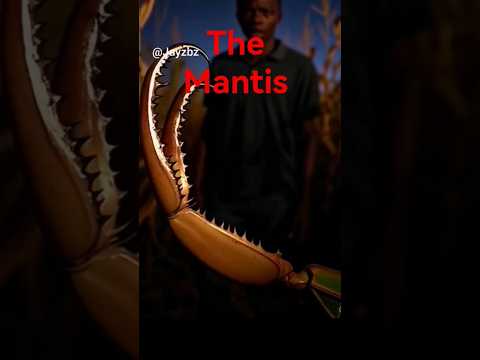 “The Mantis | Terrifying Giant Insect Horror Short” #scary