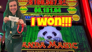 We Try Bigger Bets after Winning Slot Tournament!🏆Dragon Link Panda Magic