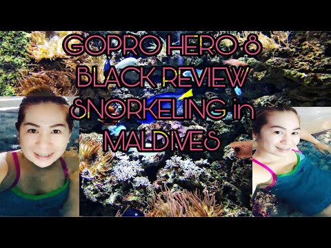 Gopro Hero 8 black Review -Snorkeling in Maldives