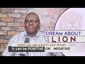 DREAMS ABOUT LIONS Find Out The Biblical Dream Interpretation