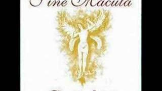 Sine Macula - Swan Transfiguration