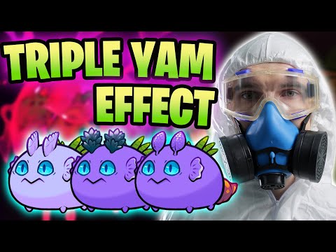 RANK 89 TRIPLE YAM POISON BUILD | ORIGINS LEADERBOARDS | AXIE INFINITY