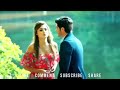 Keh Doo Tumhe Ya Chup Rahu Best Couple Status Song