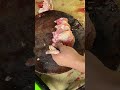Cut Chicken Cuttingchicken Videoshort