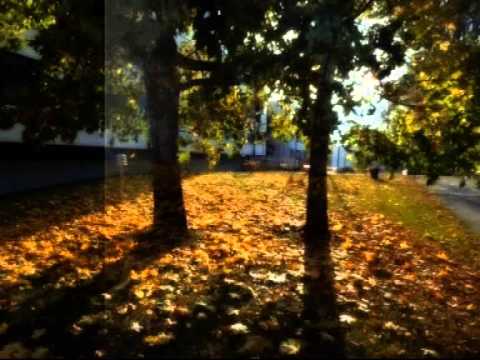 Heikki Luoman yhtyeen keikka musaa. Nauhoitettu radiomankalla  1974-75