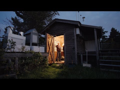 When Can We Eat the Fish?