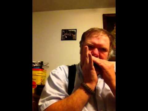 Tc s harp harmonica comparison sp20-blues harp-delta frost