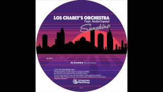 Los Charly's Orchestra feat Andre Espeut - Sunshine (Deep Disco Rework)
