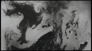 EAR TO THE GROUND PROMO