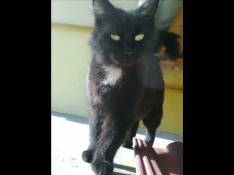 Kura   Gogo Lulu Rouge Remix + Betty