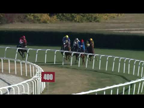 2018.10.14. 04. futam - GENCSY TIBOR EMLÉKVERSENY - VISEGRÁDI DÍJ (II.kat.)