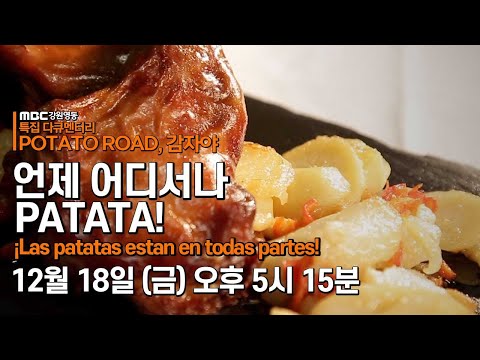 , title : 'POTATO ROAD, 감자야! 언제 어디서나 PATATA 🥔 / ¡Las patatas están en todas partes!'
