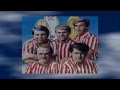 The Beach Boys ~ I'm So Young (Stereo)